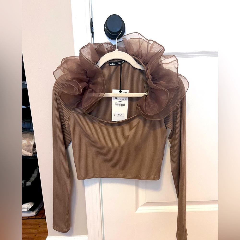 NWT Brown dressy crop top - Zara